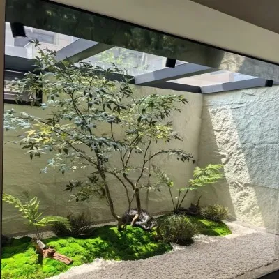 Fixed Glass Skylight Fixed Glass Skylight